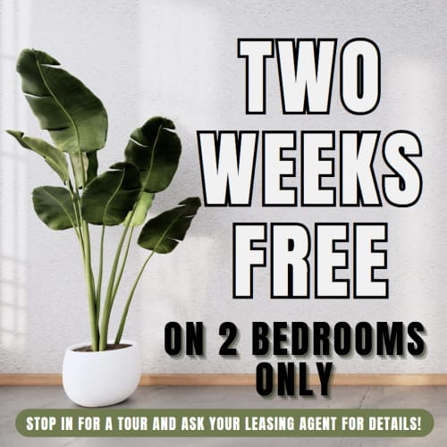 18Eleven Frankford JUNE Special - TWO WEEKS Free On 2 BEDROOM Units Only LEASE BY 6/30