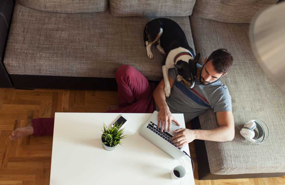 Dog cuddling resident on his laptop at Stride in Durham, North Carolina