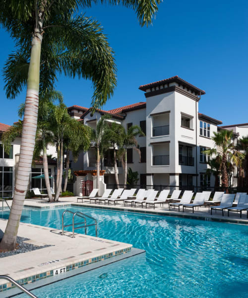 Luxurious pool area at Amelia Westshore in Tampa, Florida