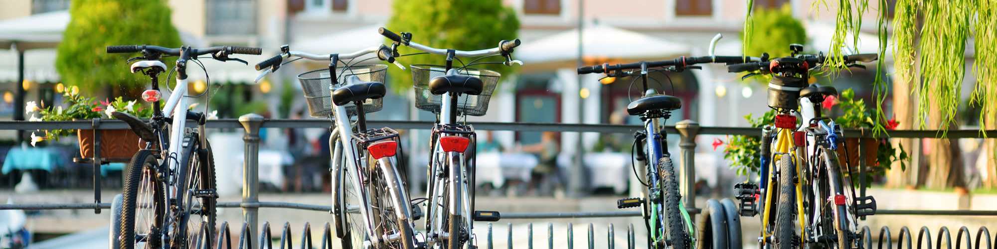 Privacy Policy | Monmouth Woods in King George, Virginia