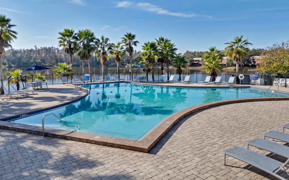 Sparkling resort-style pool surrounded by palm trees and lounge chairs with scenic water view at Carlton Arms North in Tampa, Florida