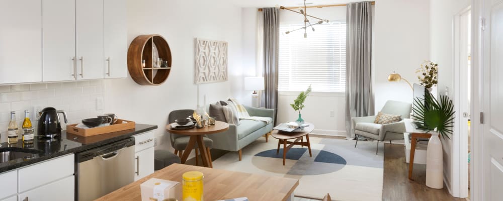 1 2 Amp 3 Bedroom Apartments For Rent In Washington Dc