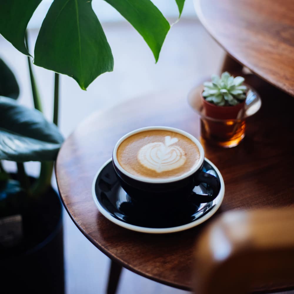 Coffee near Flats On Wakefield in San Antonio, Texas