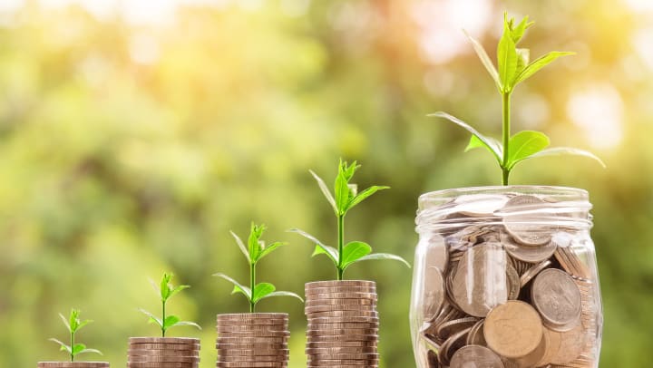 Little jars of money with plants in them at {{location_name}}