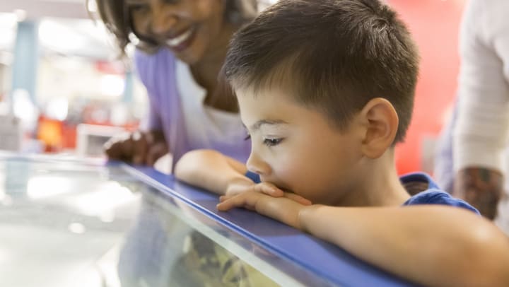 A young boy and his smiling grandmother look at a museum exhibit inside a glass case. 