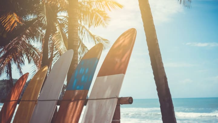 a line of surfboards under palm trees at the beach | surf shops around Pompano Beach