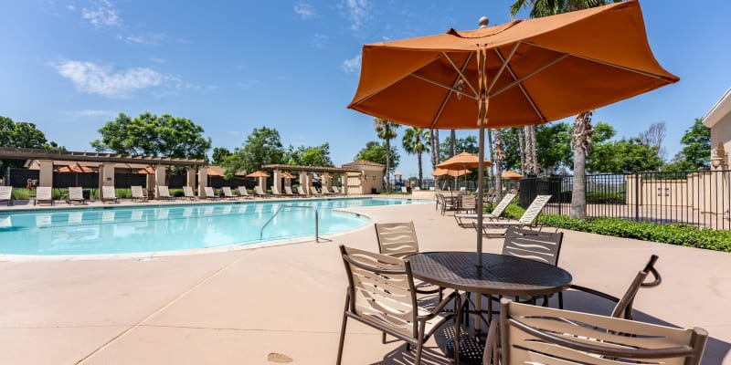 swimming pool at Santo Terrace in San Diego, California