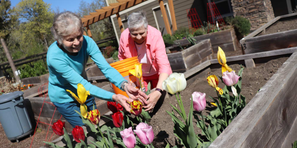 Two residents gardening at The Springs at Greer Gardens in Eugene, Oregon