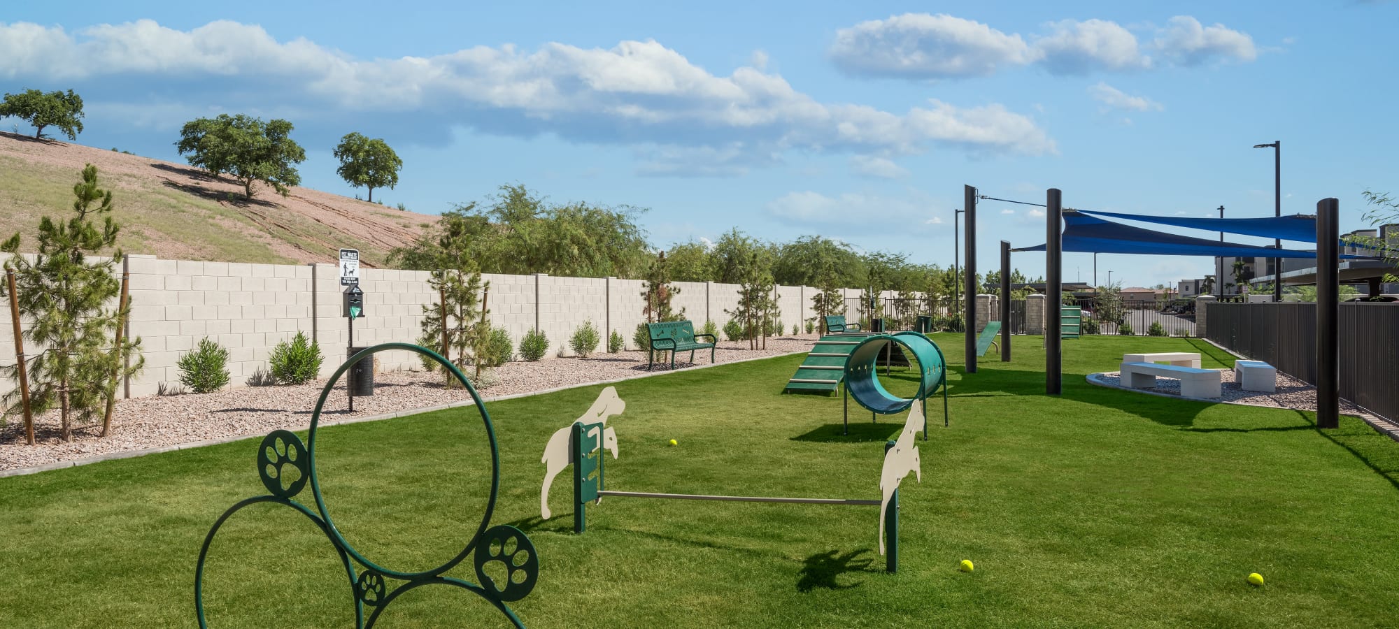 Dog park at Aviva in Mesa, Arizona