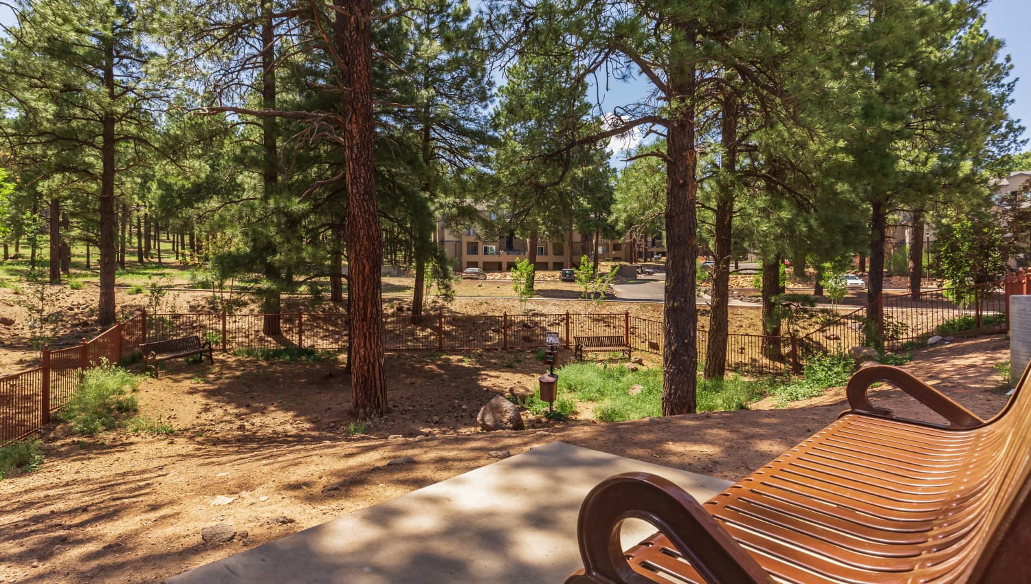 Onsite dog park at Mountain Trail in Flagstaff, Arizona
