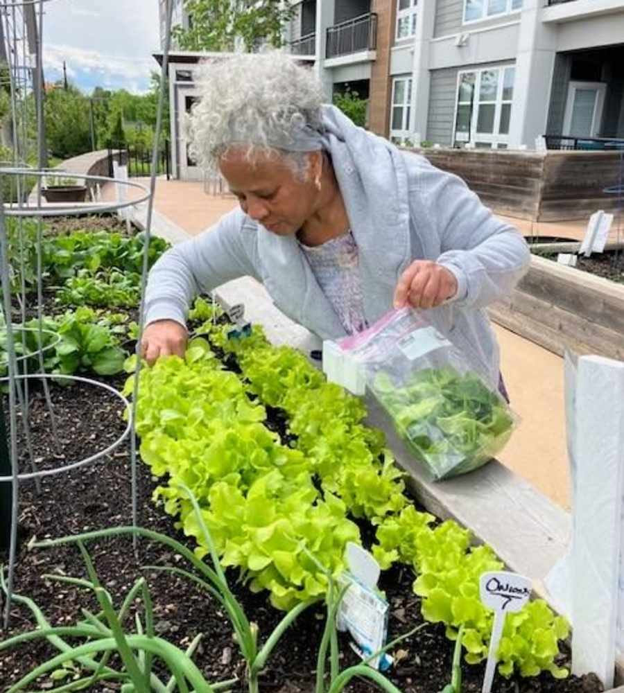 Resident gardening at Canvas Valley Forge in King Of Prussia, Pennsylvania