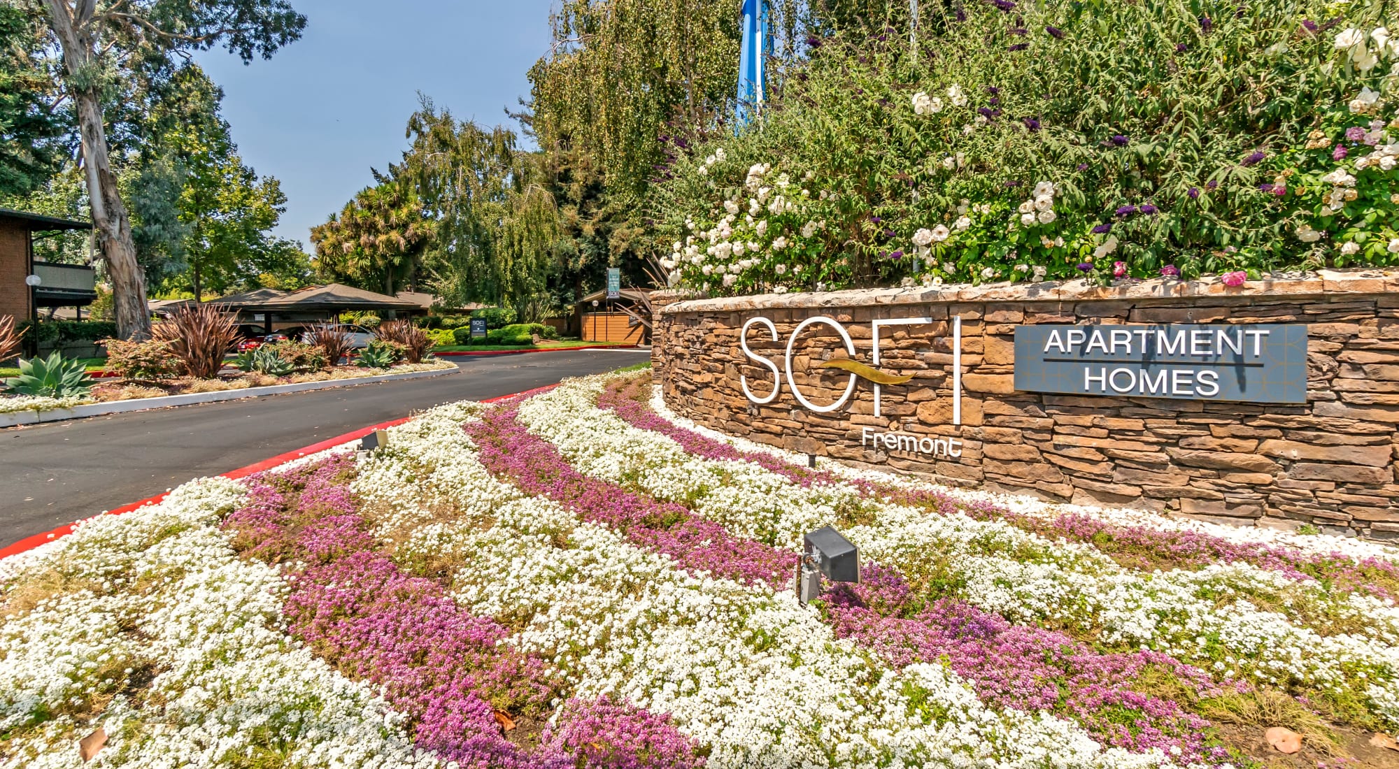 Neighborhood at Sofi Fremont in Fremont, California