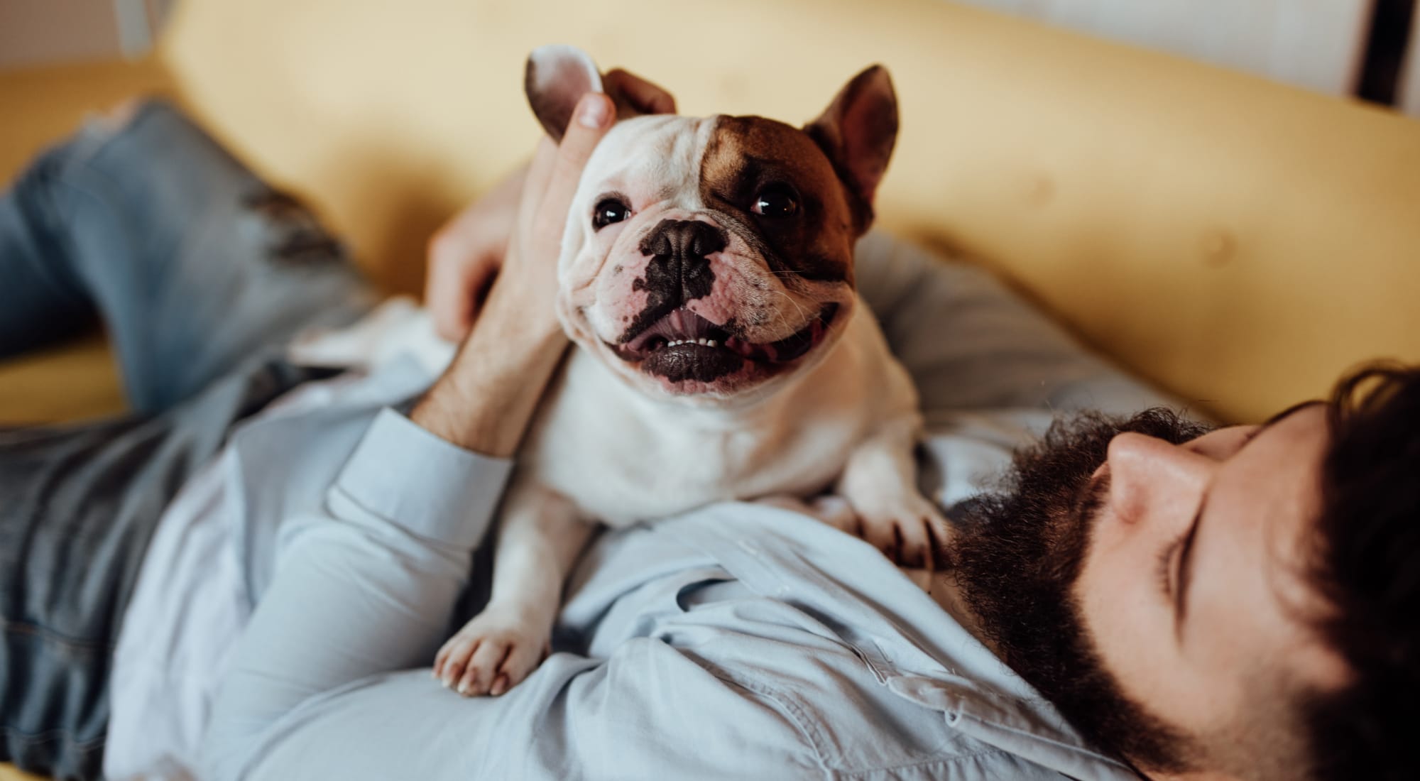 Pet-friendly apartments at Golf Club Apartments in West Chester, Pennsylvania