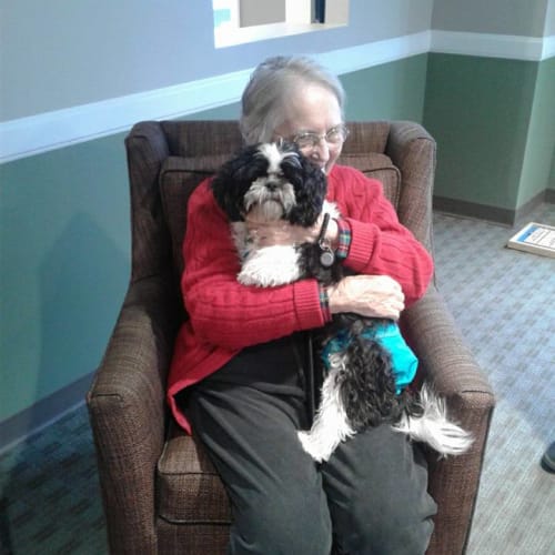 A resident with her dog at First & Main of Commerce Township in Commerce Township, Michigan