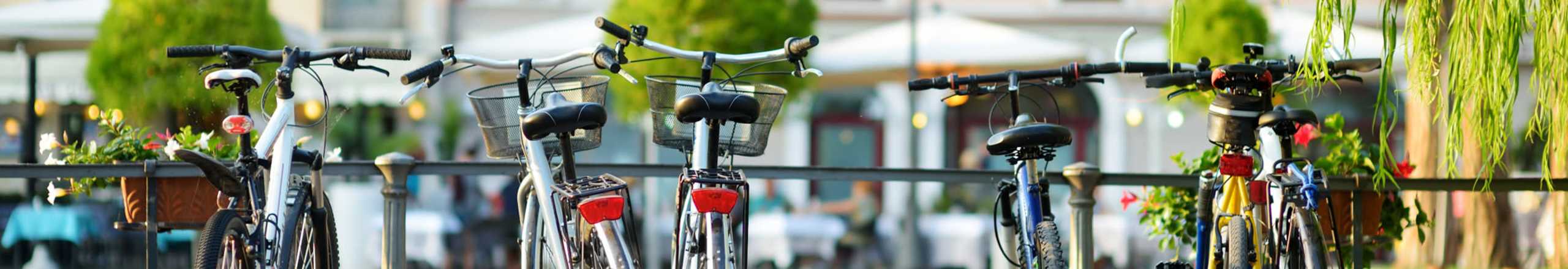 Amenities | Forest Glen Cooperative in Jamaica Plain, Massachusetts