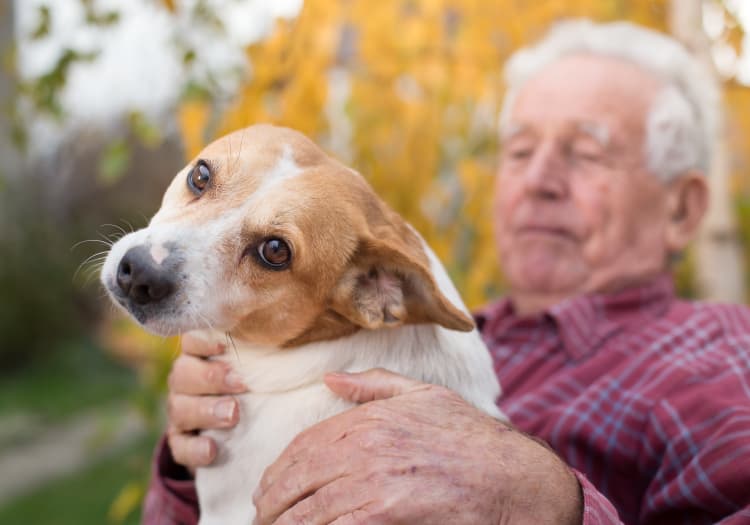 Senior and his dog at The Commons on Thornton in Stockton, California