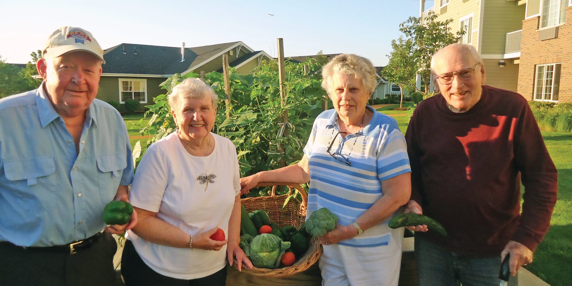 A group of residents harvesting the garden at Guelph Lake Commons in Guelph, Ontario