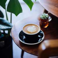 Coffee near Palisades at Langley Pond in Graniteville, South Carolina