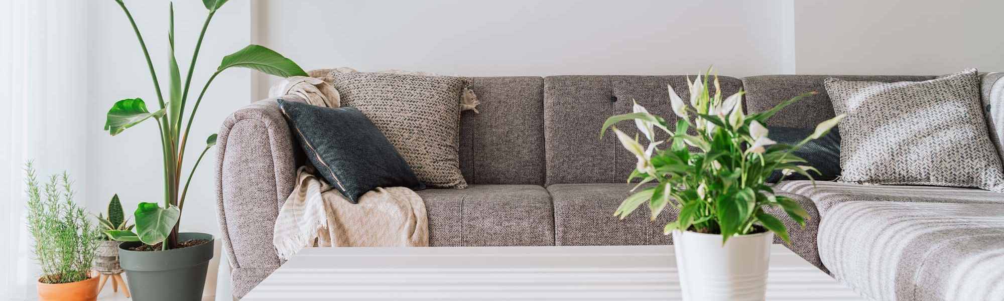 Rental requirements at Mapleton Properties in Indianapolis, Indiana