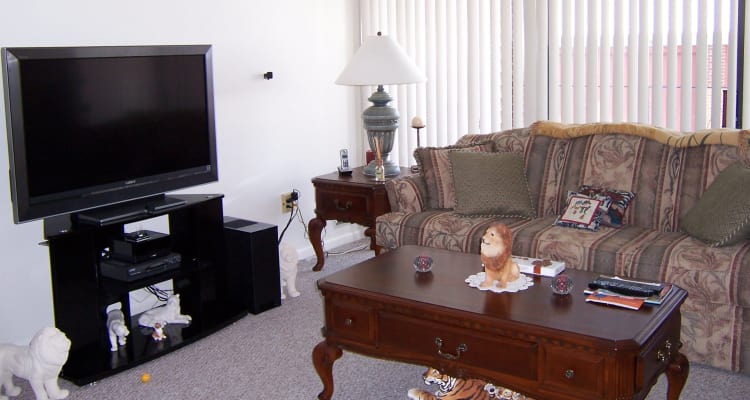 Comfy Living Room at Carriage Hill Apartments in Pittsford