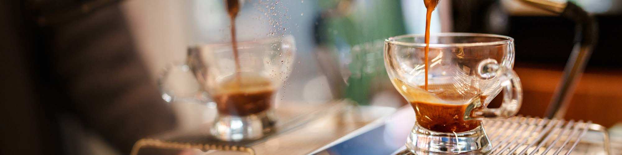 Neighborhood | Wyld Palms in Foley, Alabama  