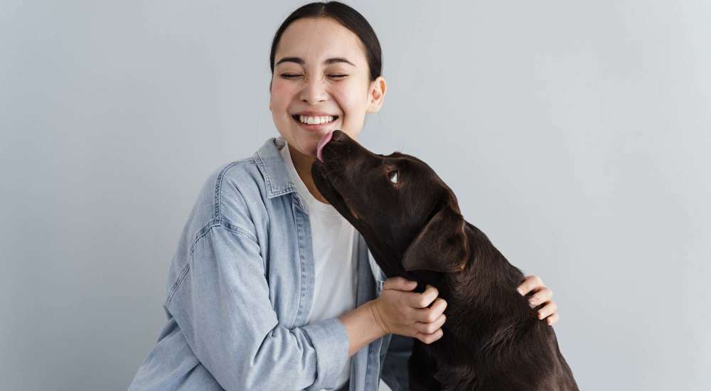 Resident playing with their dog at San Jose Greens in San Jose, California