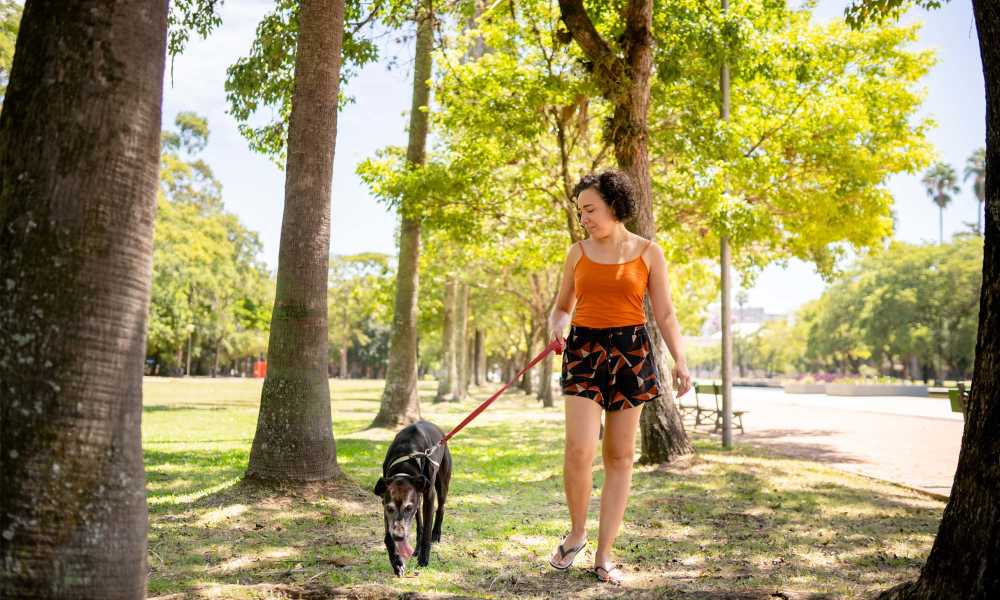 Resident walking her dog near The Rise at Regency in Henrico, Virginia