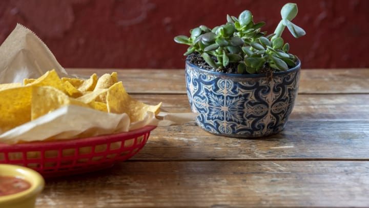 A table with a basket of tortilla chips and a small succulent | Mexican food near South Jordan