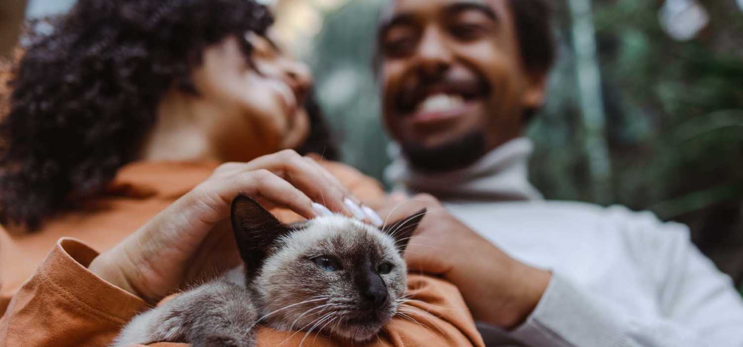Residents petting a cat at Walnut Trace in Raleigh, North Carolina