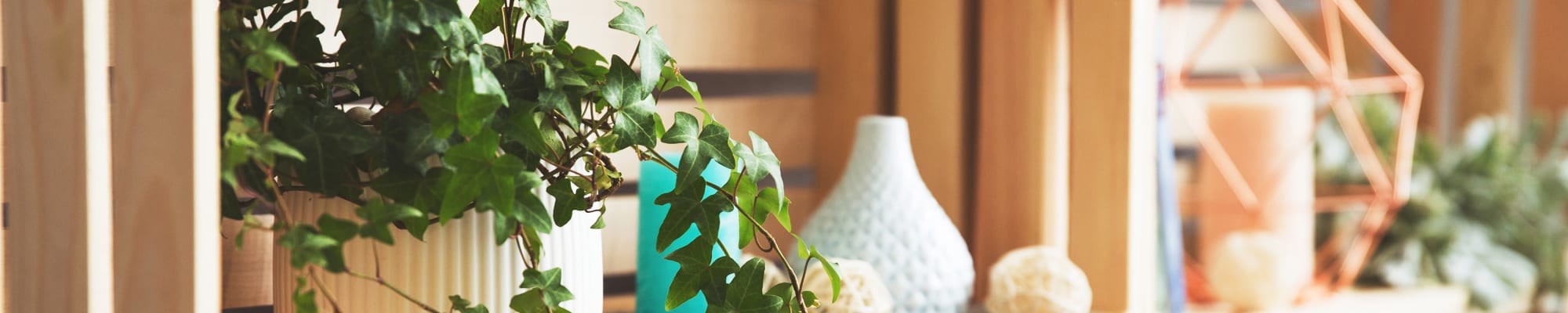 Reviews of The Glens Apartments in San Jose, California