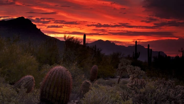 Gorgeous desert sunset near Vistara at SanTan Village in Gilbert, Arizona