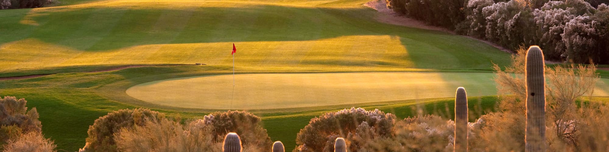 Neighborhood near FirstStreet Ballpark Village in Goodyear, Arizona