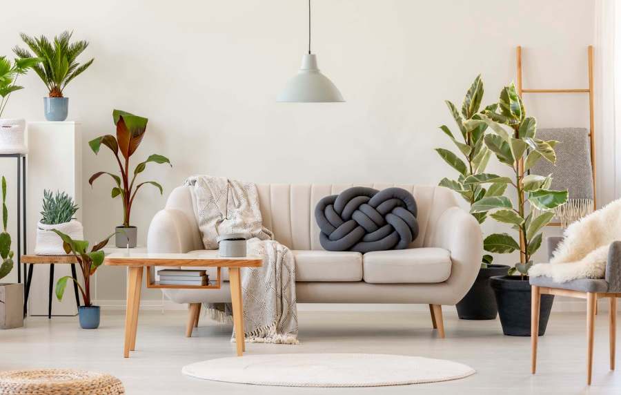 Living room with nice sofa at Greer Mill Residences in Greer, South Carolina