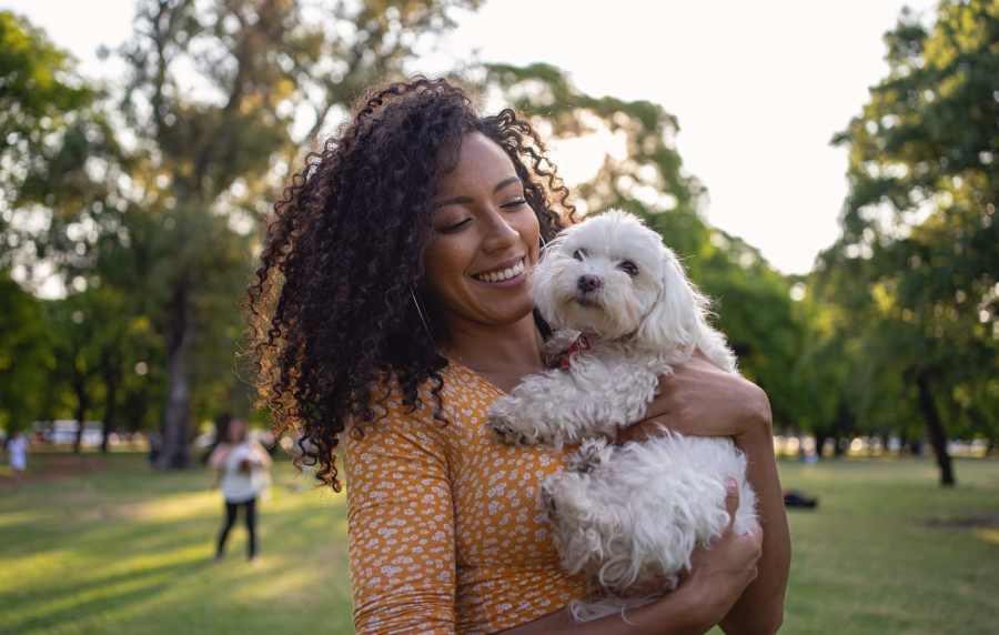 Pet friendly near The Reserve at Kanapaha in Gainesville, Florida