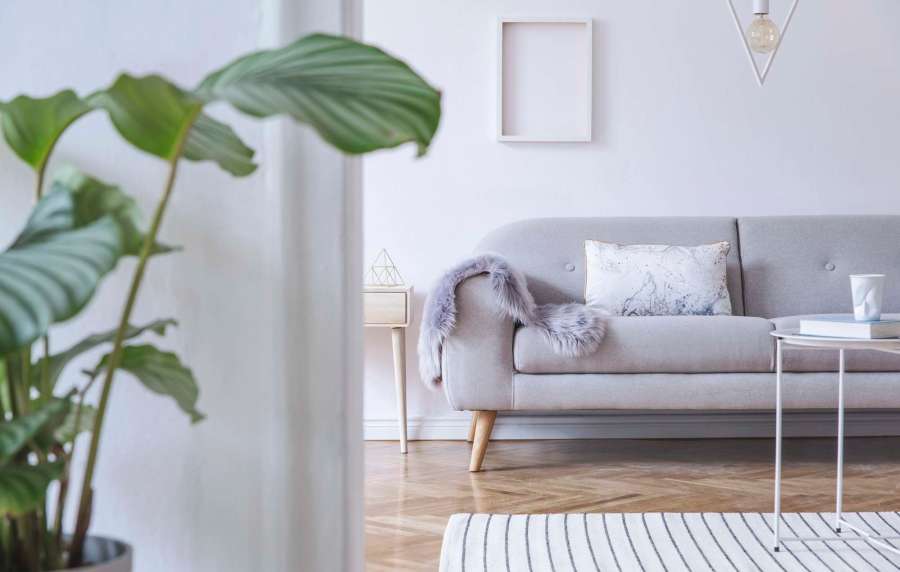 Bright living room with wood-style flooring, modern gray sofa, and decorative plant in the foreground at Jordache Park Apartments in Spencerport, New York