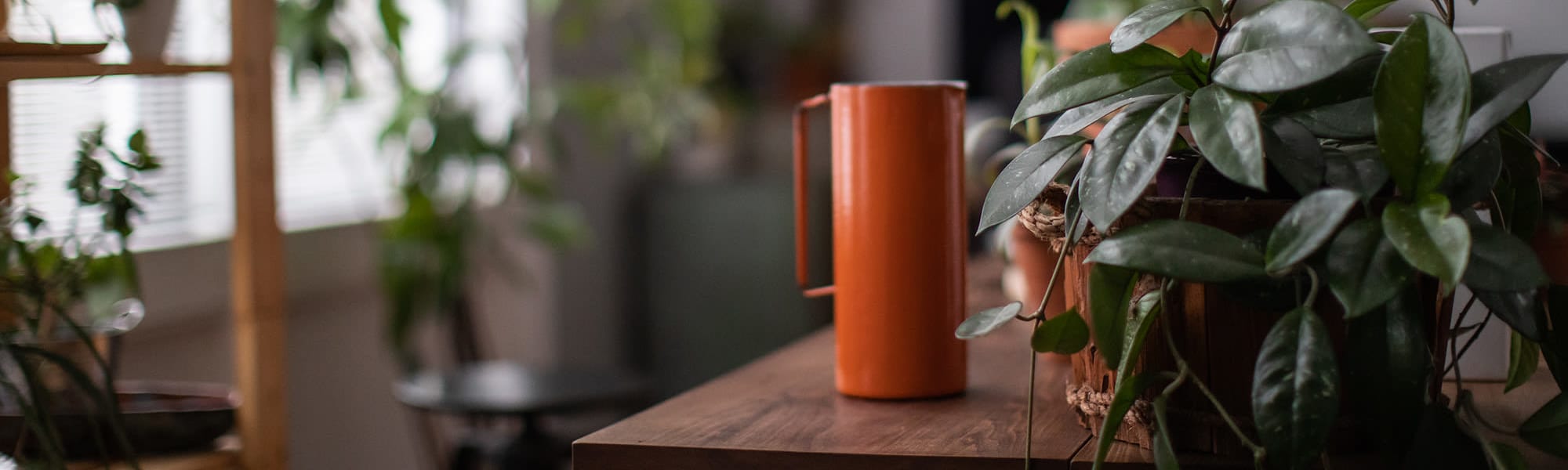 A close-up view of a tall orange mug with the plants on the table at One Park in West Hartford, Connecticut