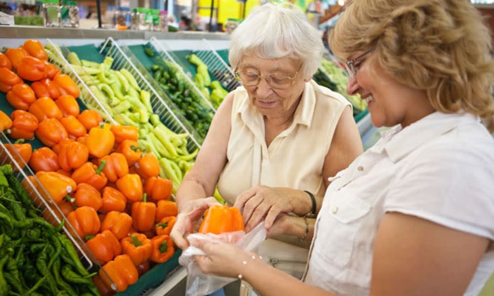 A caretaker from Chestnut Knoll at Home in Boyertown, Pennsylvania helping a resident grocery shopping 