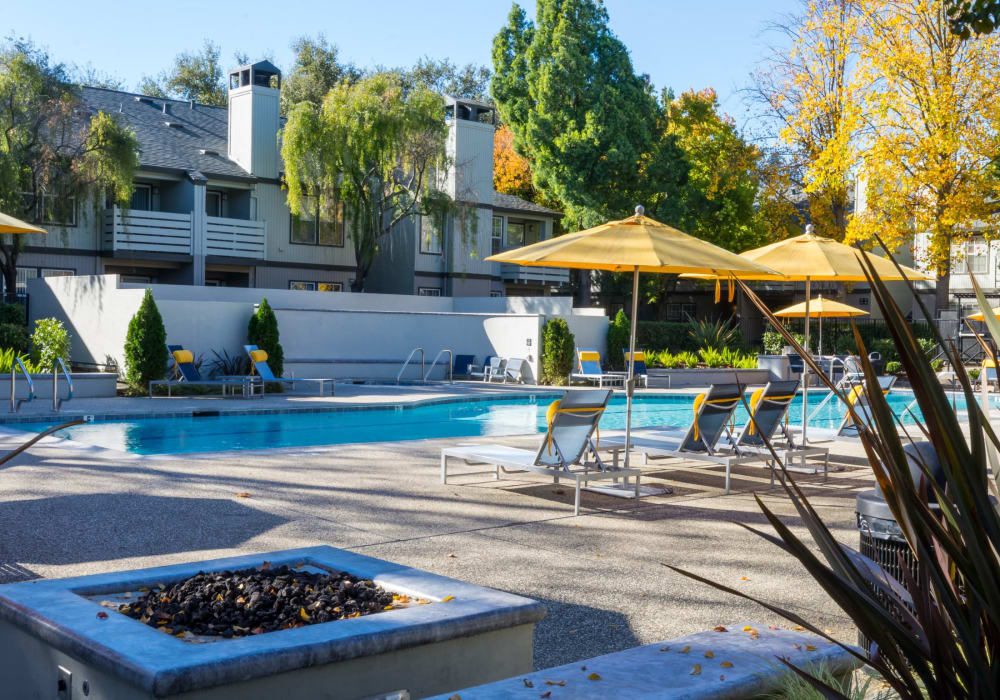 Poolside with yellow umbrellas at Tanglewood in Davis, California