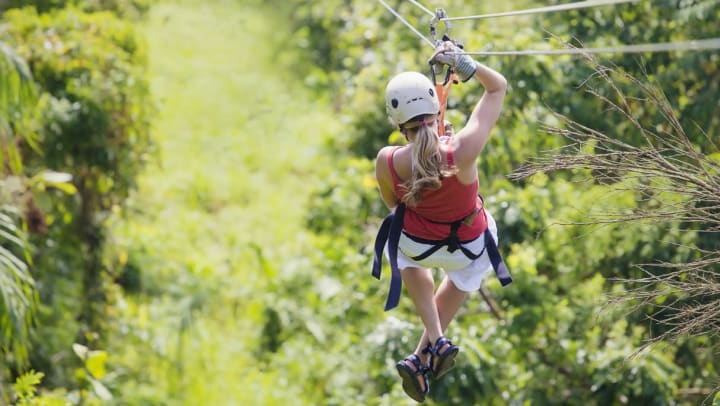 Person ziplining away from the camera toward lots of trees.