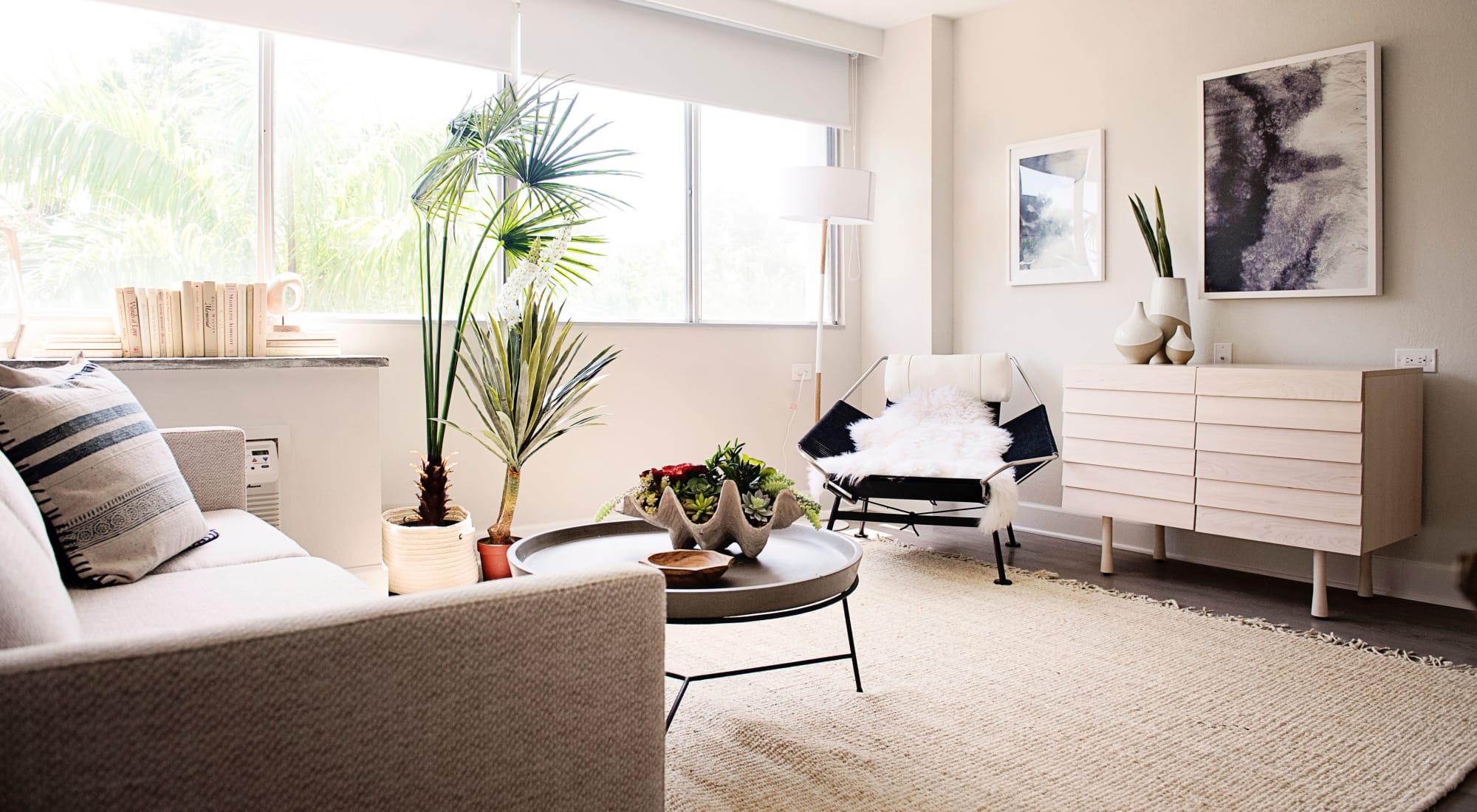 Downtown St Petersburg Fl Apartments For Rent The Wayland