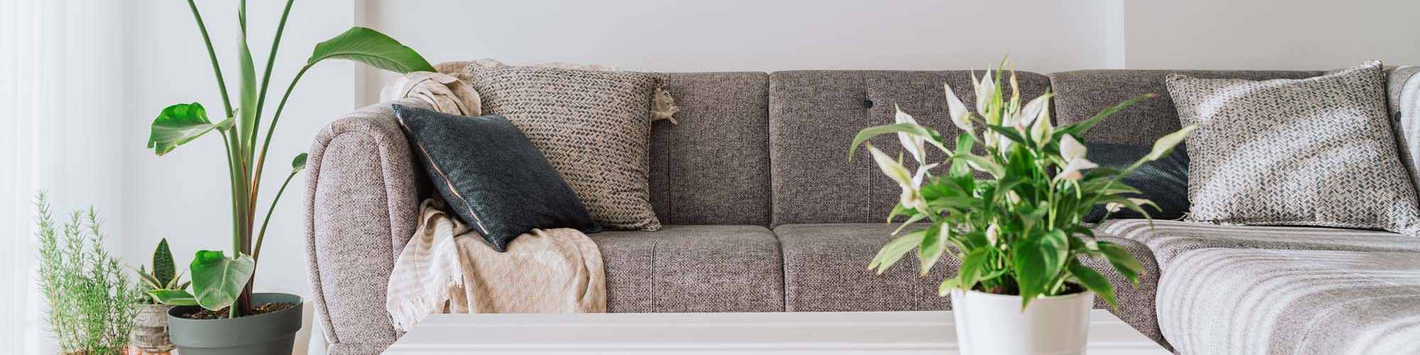 Floor Plans | Villages at Arbor Walk in Foley, Alabama