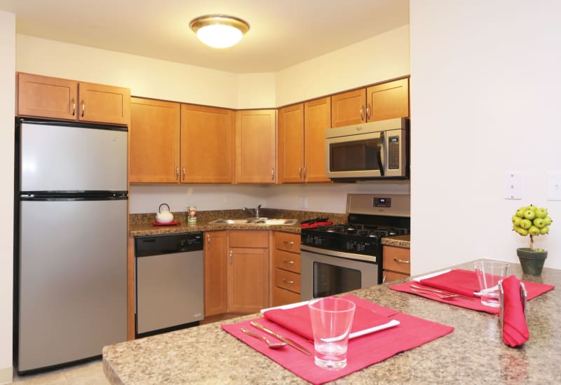 Kitchen with stainless steel appliances at Blackhawk Apartments in Elgin, Illinois