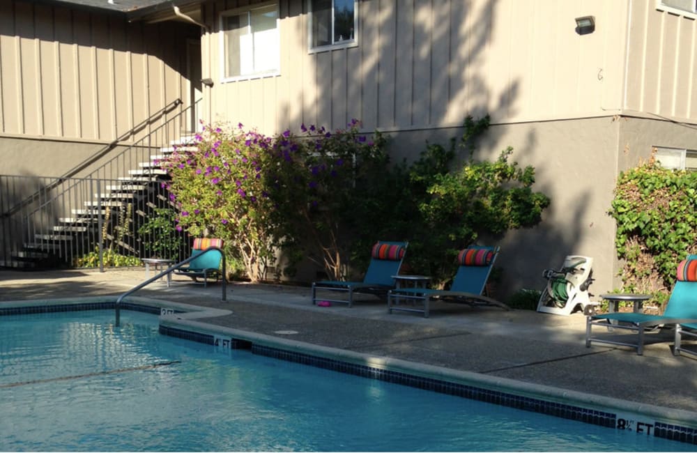 swimming pool at Palazzo Gardens in Palo Alto, California