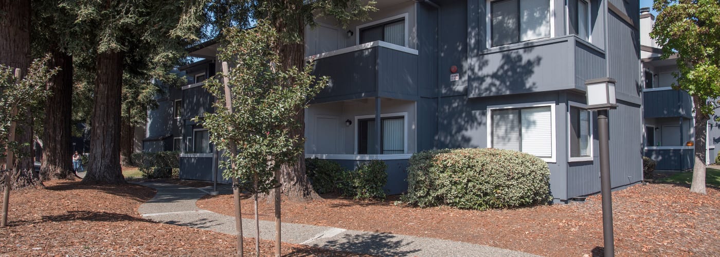 View photos of our luxurious property at Park Ridge Apartment Homes in Rohnert Park, CA