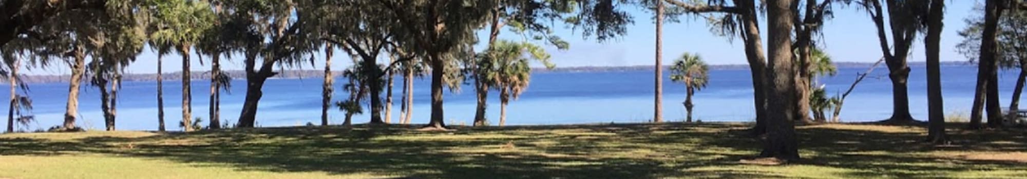 Amenities at St. Johns Landing Apartments in Green Cove Springs, Florida