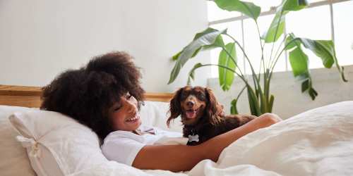 Woman relaxing in bed with dog and large indoor plant nearby at Northgate Meadows Apartments in Cincinnati, Ohio