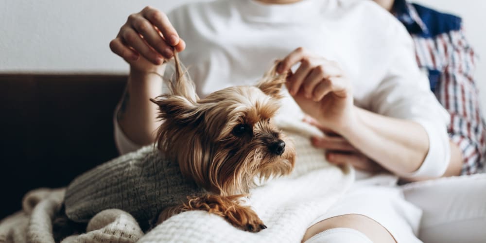 A resident with a small dog in her lap at Mission University Pines in Durham, North Carolina