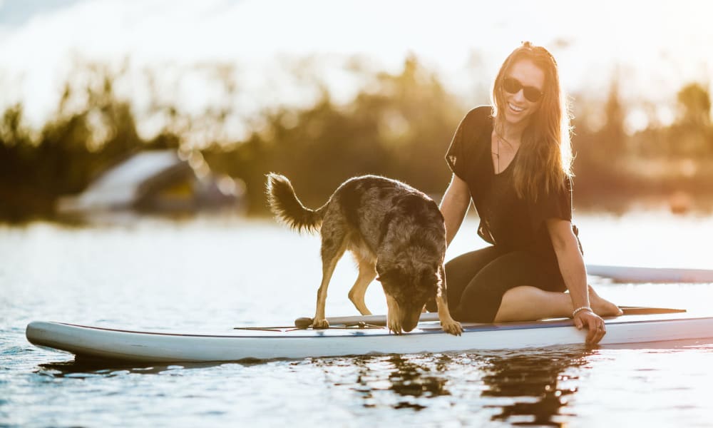 Resident and her dog paddleboarding at Shadow Cliffs Regional Recreation Area near Pleasanton Place Apartment Homes in Pleasanton, California