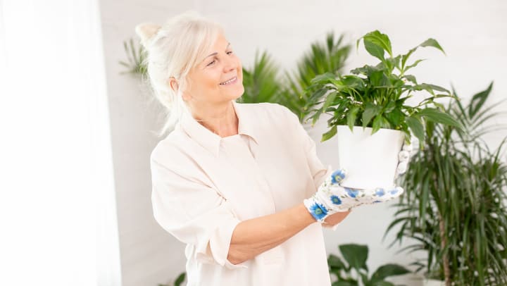 A senior woman holding a potted plant