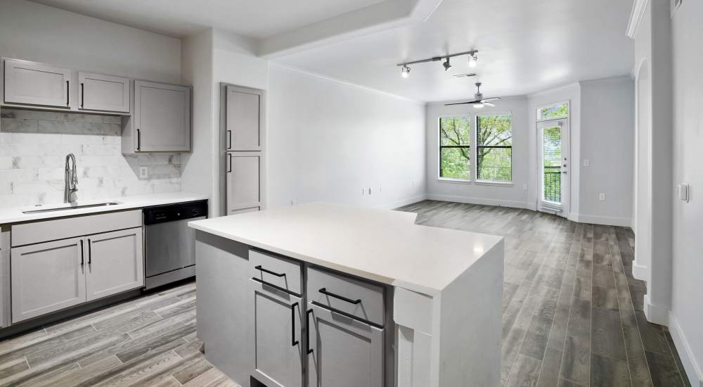 Open layout kitchen with easy access to living room at Trinity Bluff & Trinity District in Fort Worth, Texas